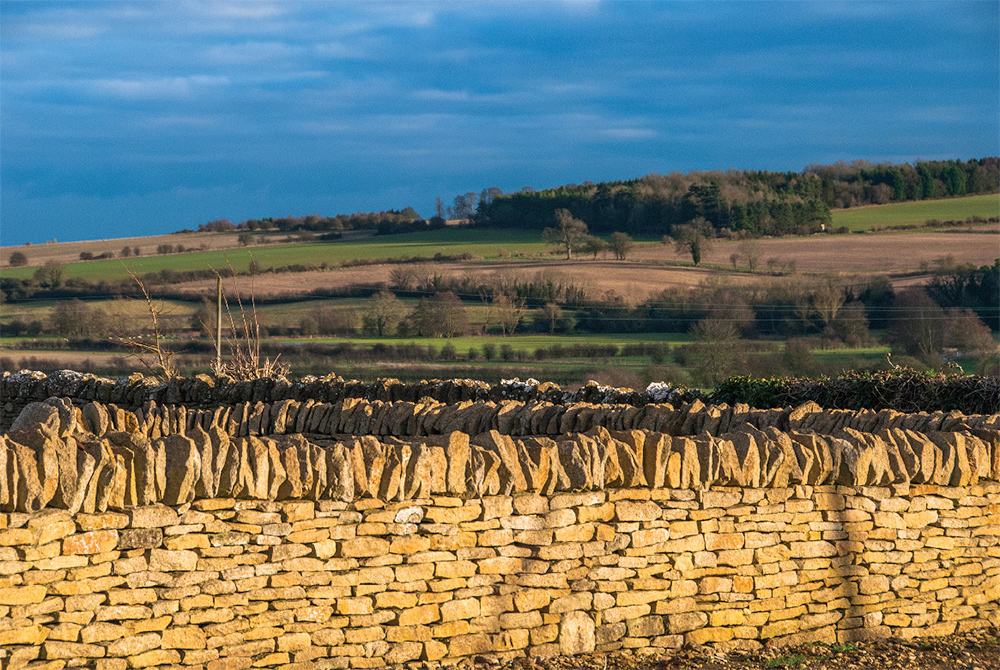 Cotswold drystone wall